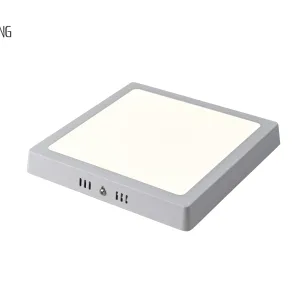 Ceiling Lamp